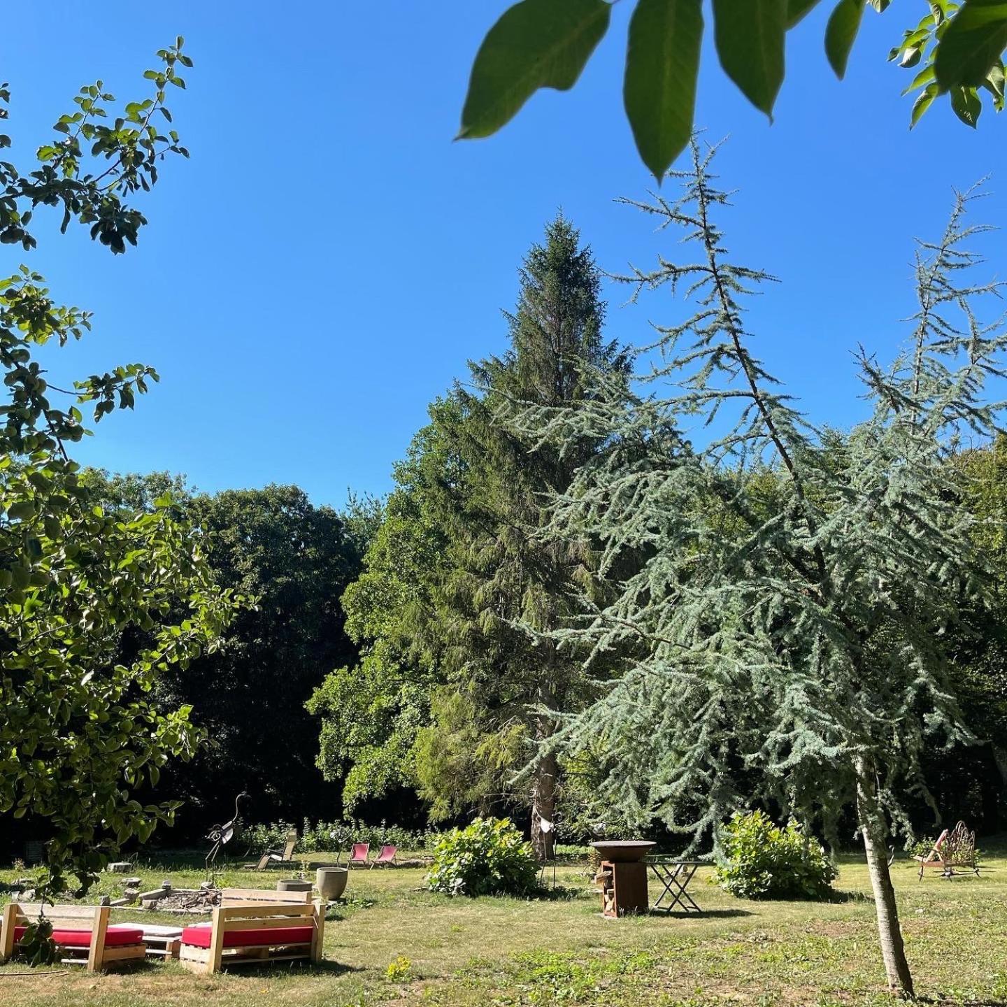 Domaine De Fresnoy Bed & Breakfast Loison-sur-Crequoise Exterior photo